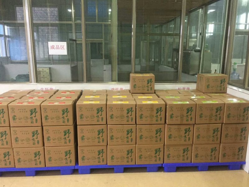 云南野生菌――454克一瓶