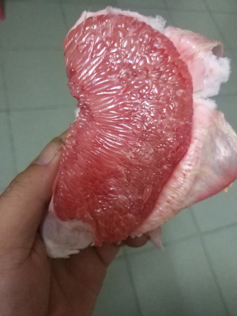 平和琯溪蜜柚