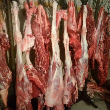 驴肉