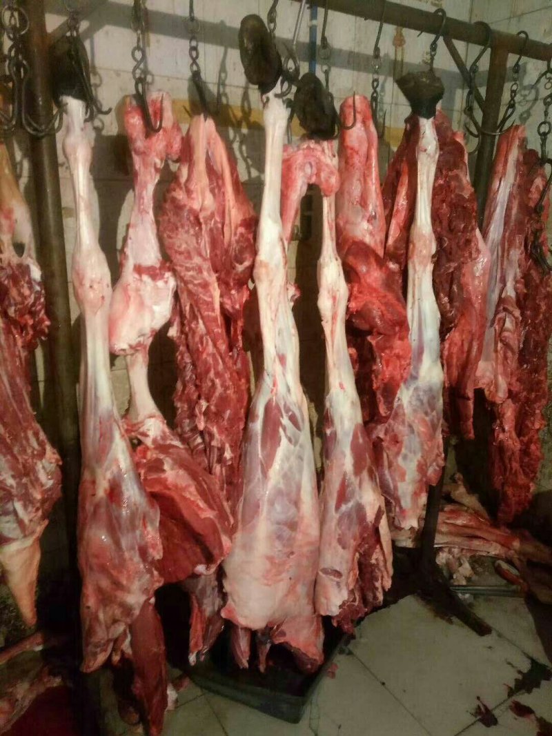 驴肉