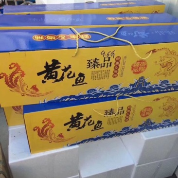 南美黄花鱼