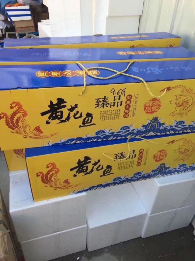 南美黄花鱼