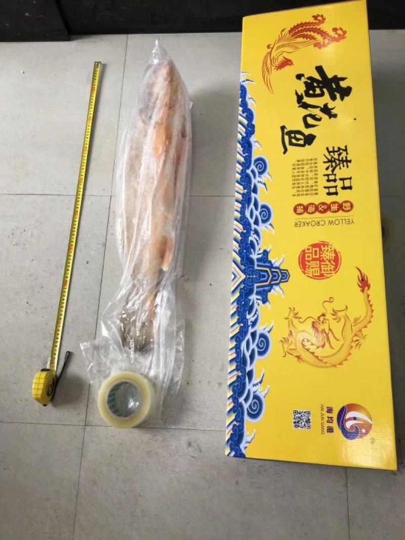 南美黄花鱼