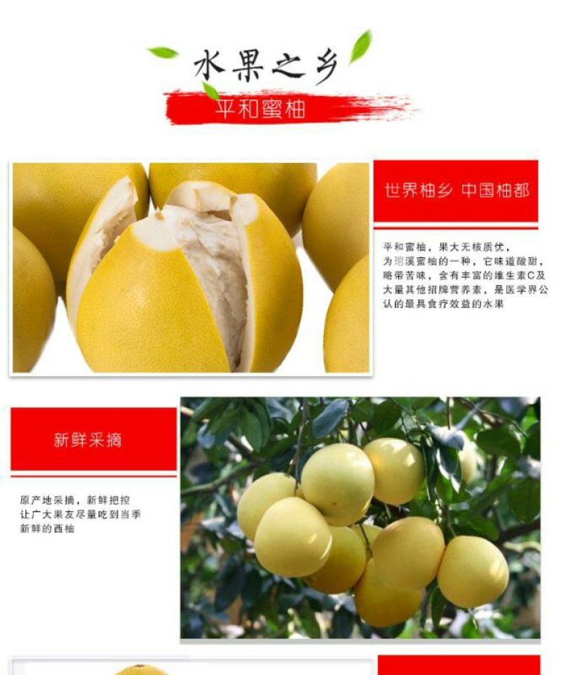 正宗平和琯溪红心蜜柚