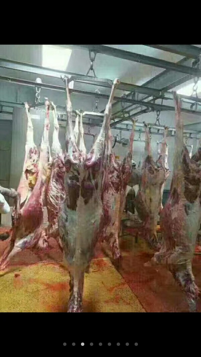 新到驴肉，保证好箱好货，无碎肉。