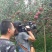 汉源水晶红富士苹果，红将军，欢迎各界朋友选购
