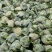 精品白花菜花椰菜松花菜菜花大量供应中需要进来联系