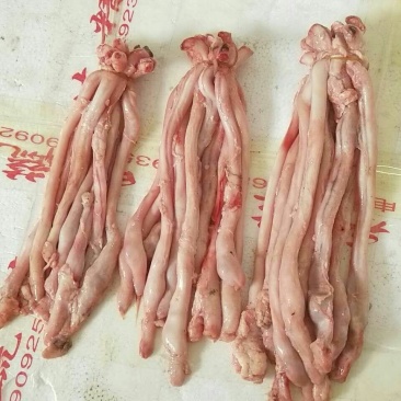 羊鞭