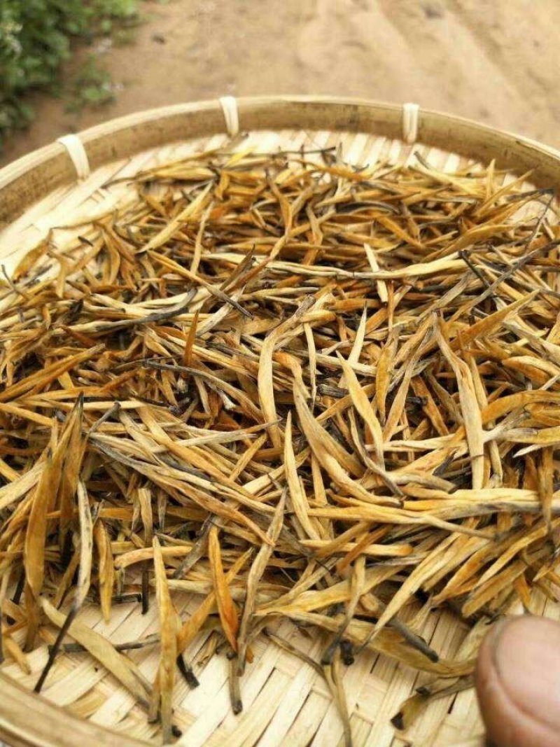 云南临沧茶区凤庆滇红茶
