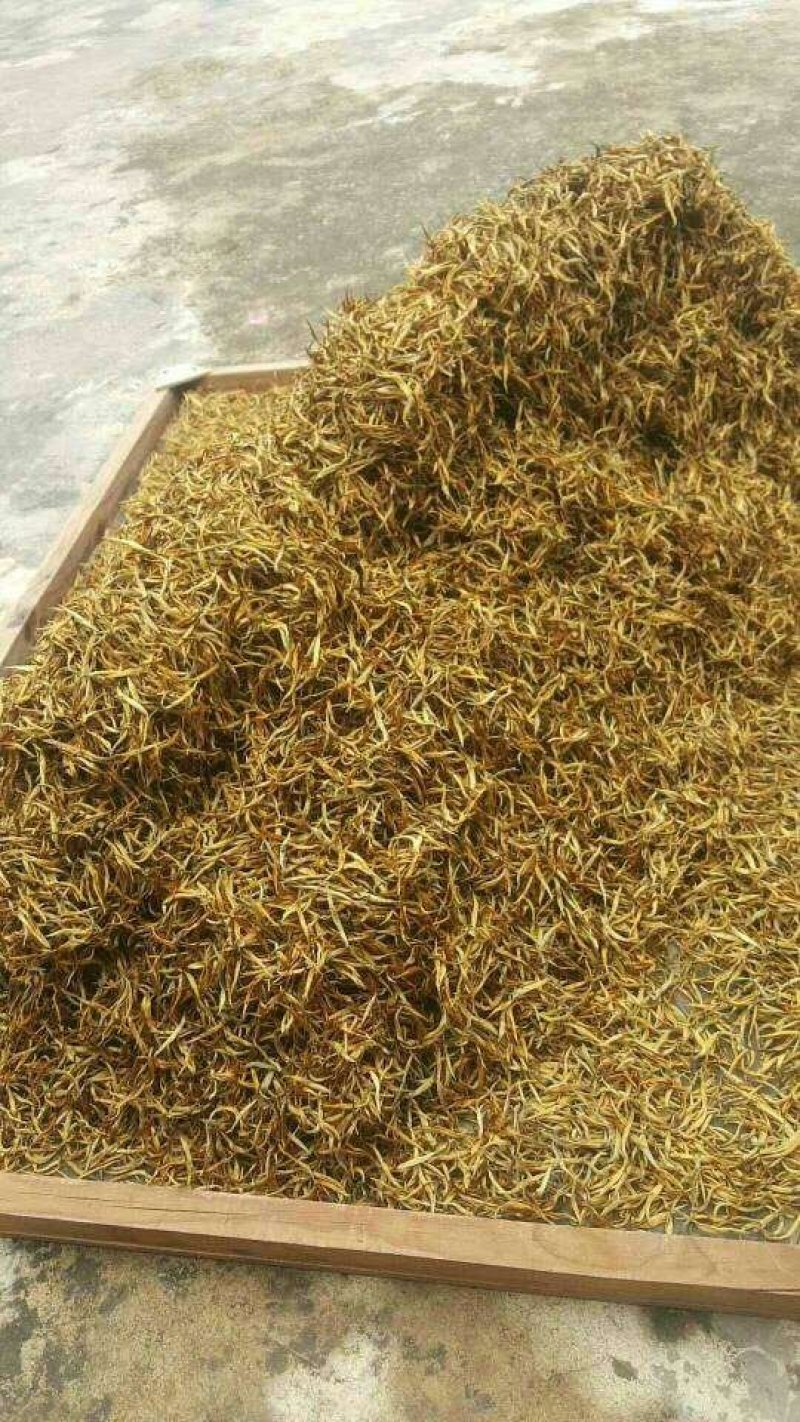 云南临沧茶区凤庆滇红茶