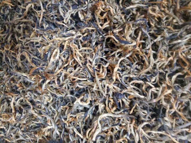 云南临沧茶区凤庆滇红茶
