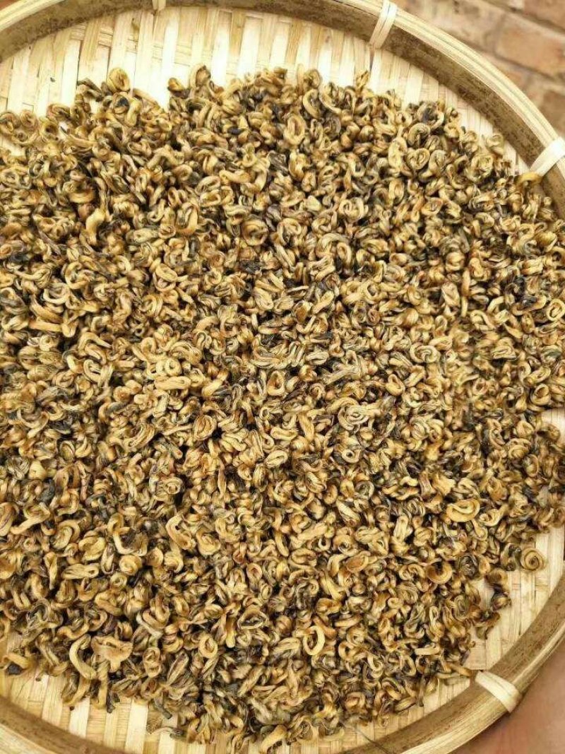 云南临沧茶区凤庆滇红茶