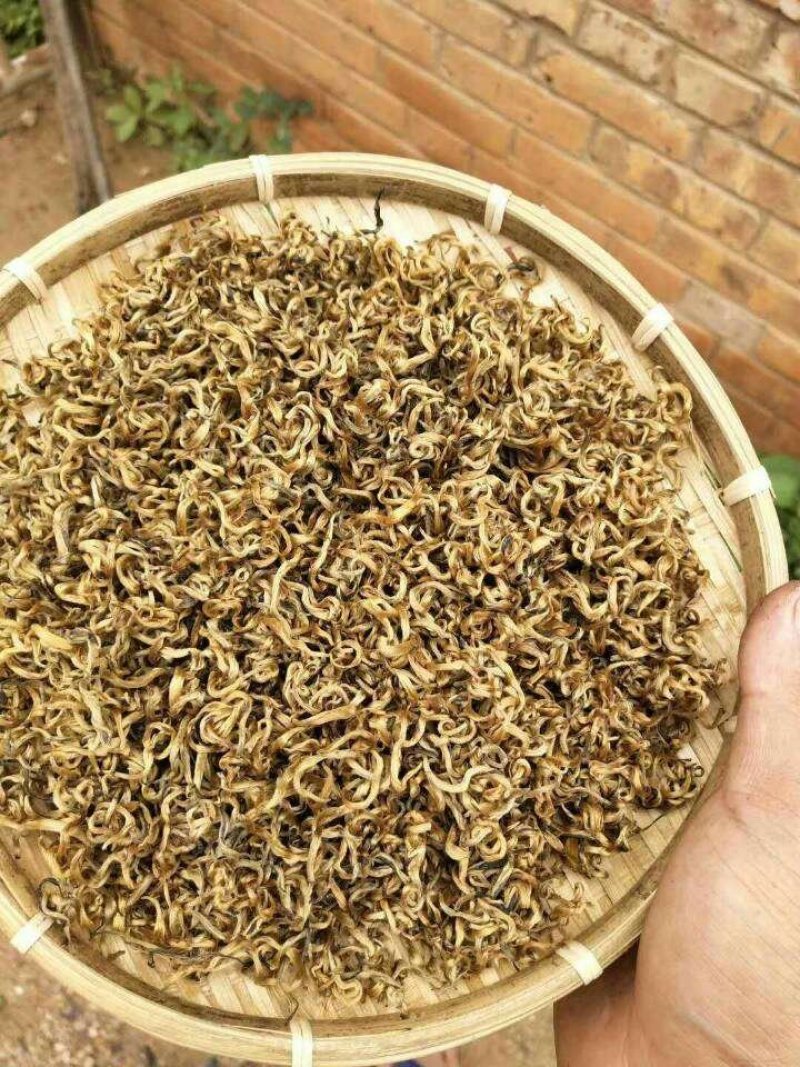 云南临沧茶区凤庆滇红茶