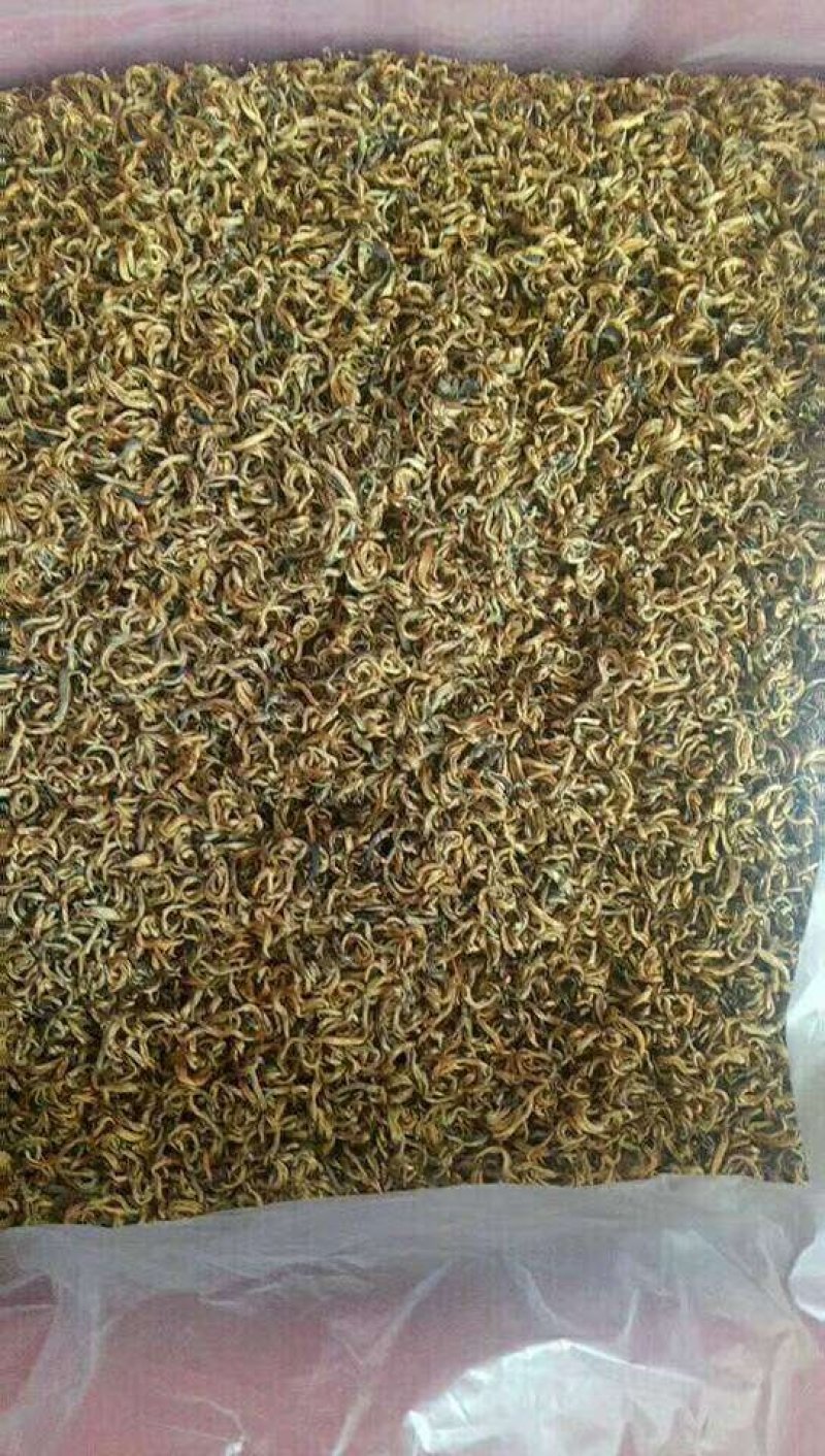 云南临沧茶区凤庆滇红茶