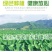 荔浦芋头江永香芋脱水芋头粒芋头干