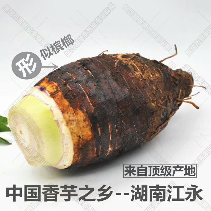 荔浦芋头江永香芋冷冻芋头粒，条，块速冻香芋