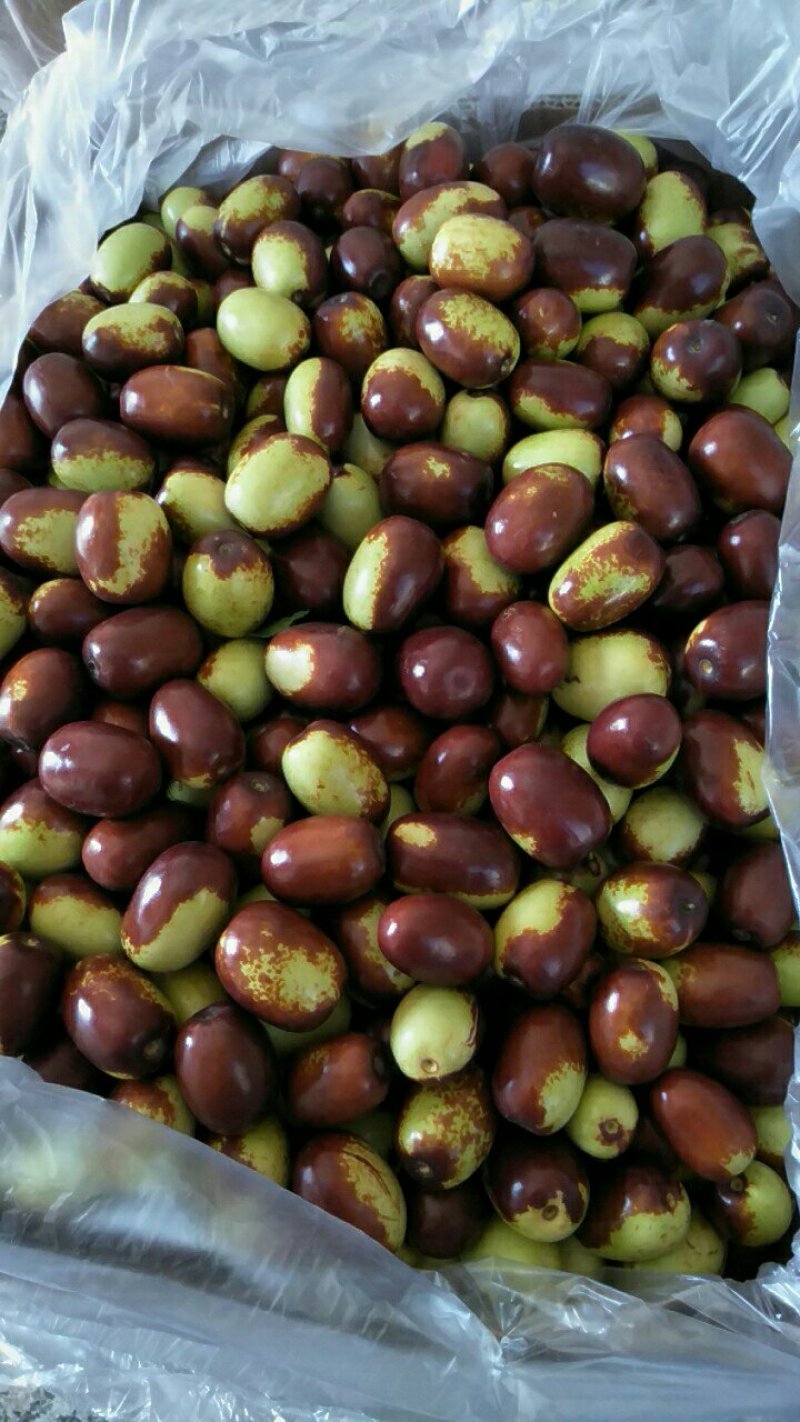 鸡心枣