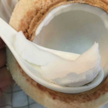 泰国椰青,三个装,一件代发,招代理,接平台
