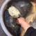纯野生鳖