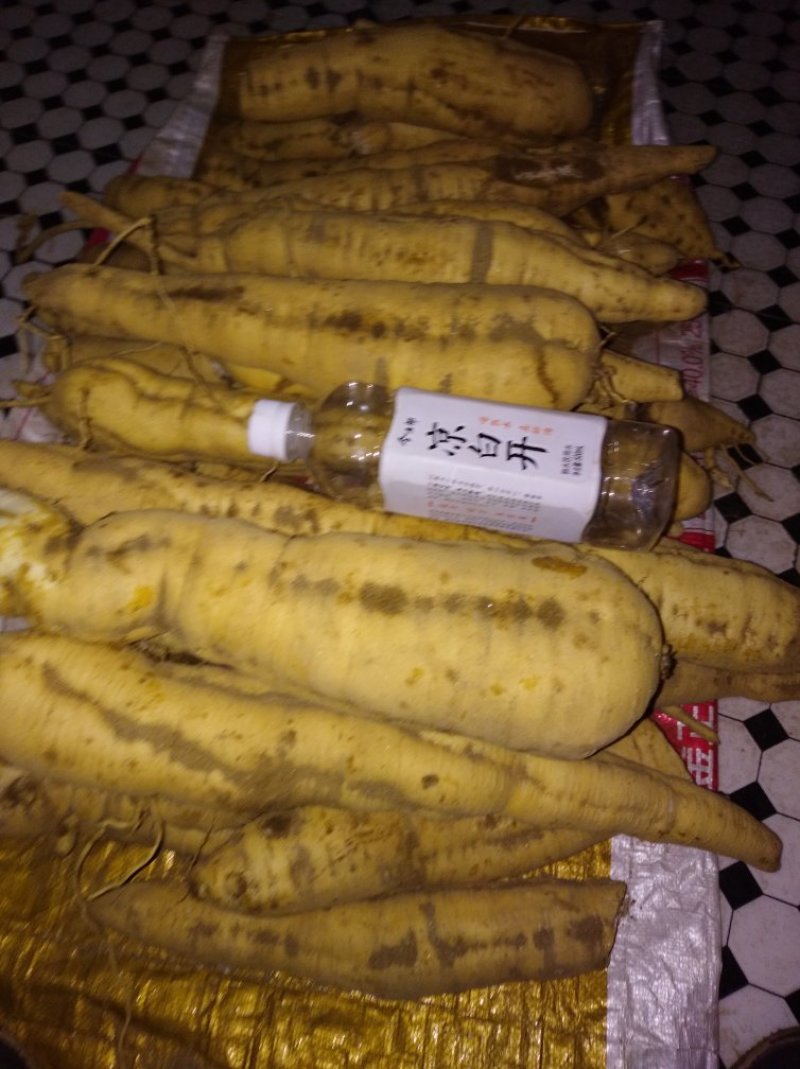 天花粉