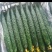 质量优