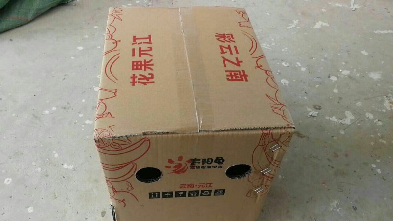 凤梨释迦
