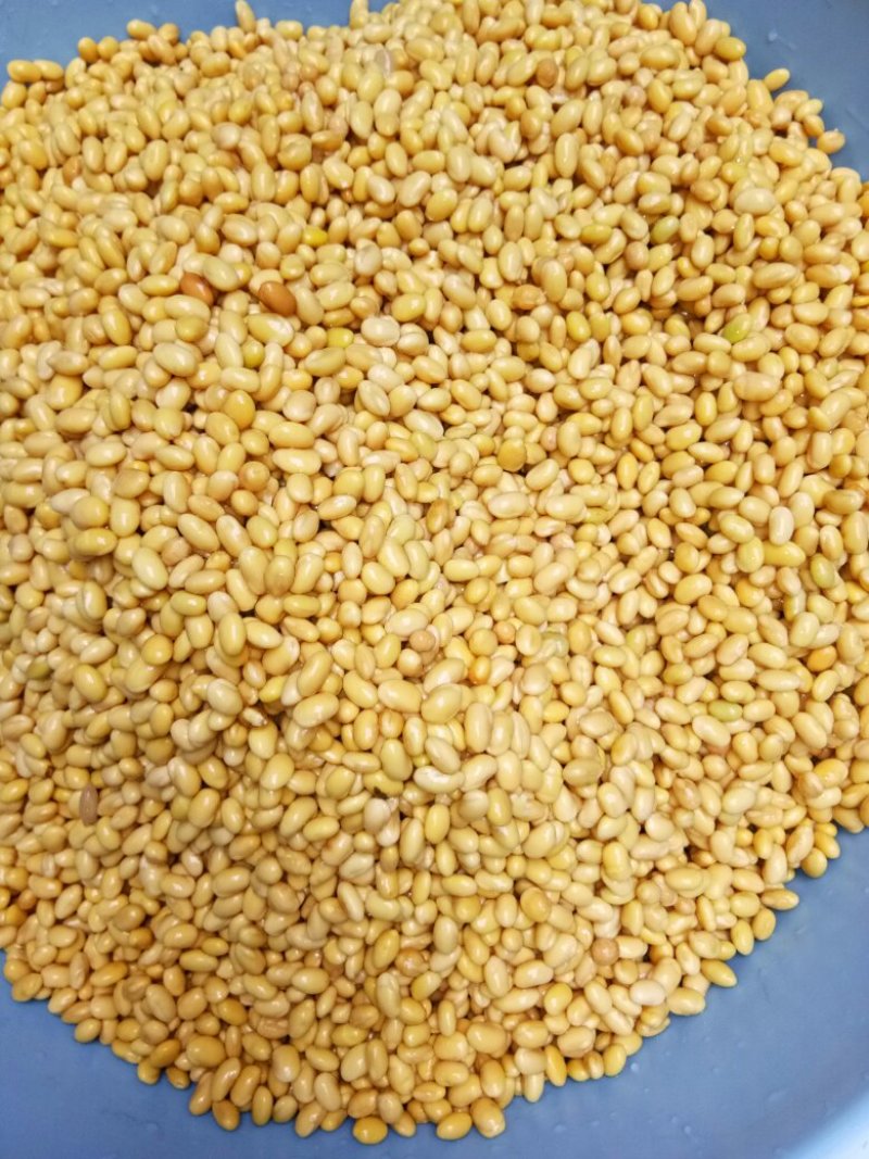 臭豆腐，可试吃，纯大豆制作、10斤起发