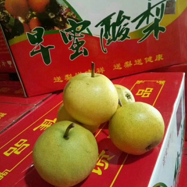 唐山市迁安特产。早密酸梨，酸酸甜甜，爽心爽口