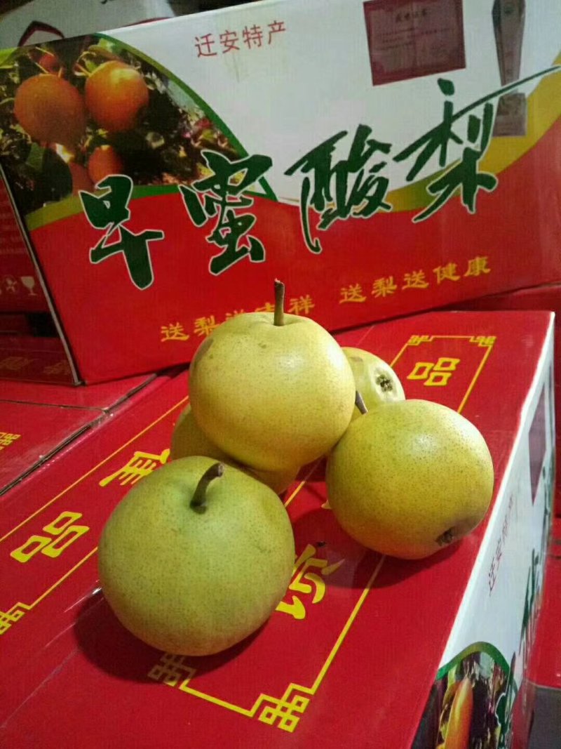 唐山市迁安特产。早密酸梨，酸酸甜甜，爽心爽口