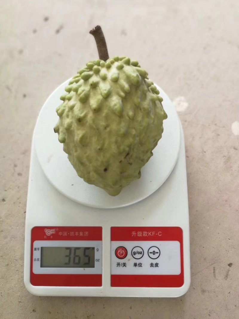 云南凤梨释迦8斤9-11个