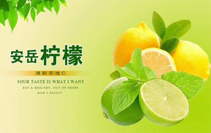 四川安岳尤力克柠檬！产地直销
