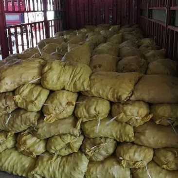 红薯商品薯紫心1两以上