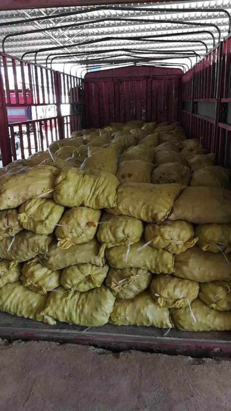 红薯商品薯紫心1两以上