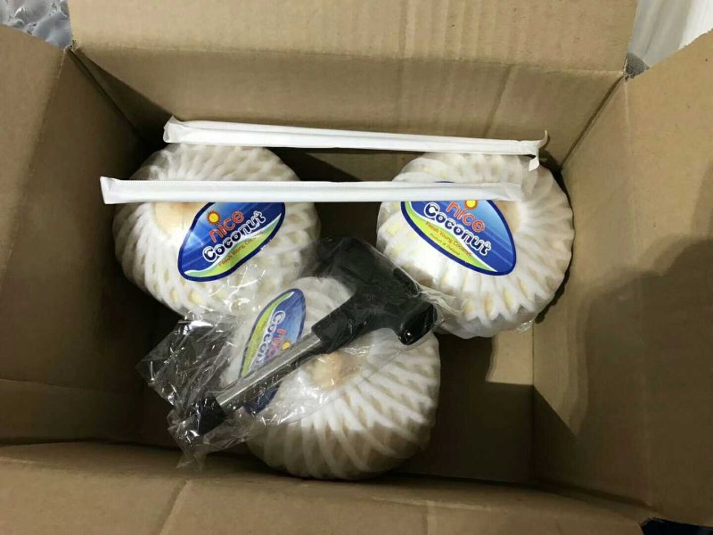 泰国椰青，九个装，一件代发