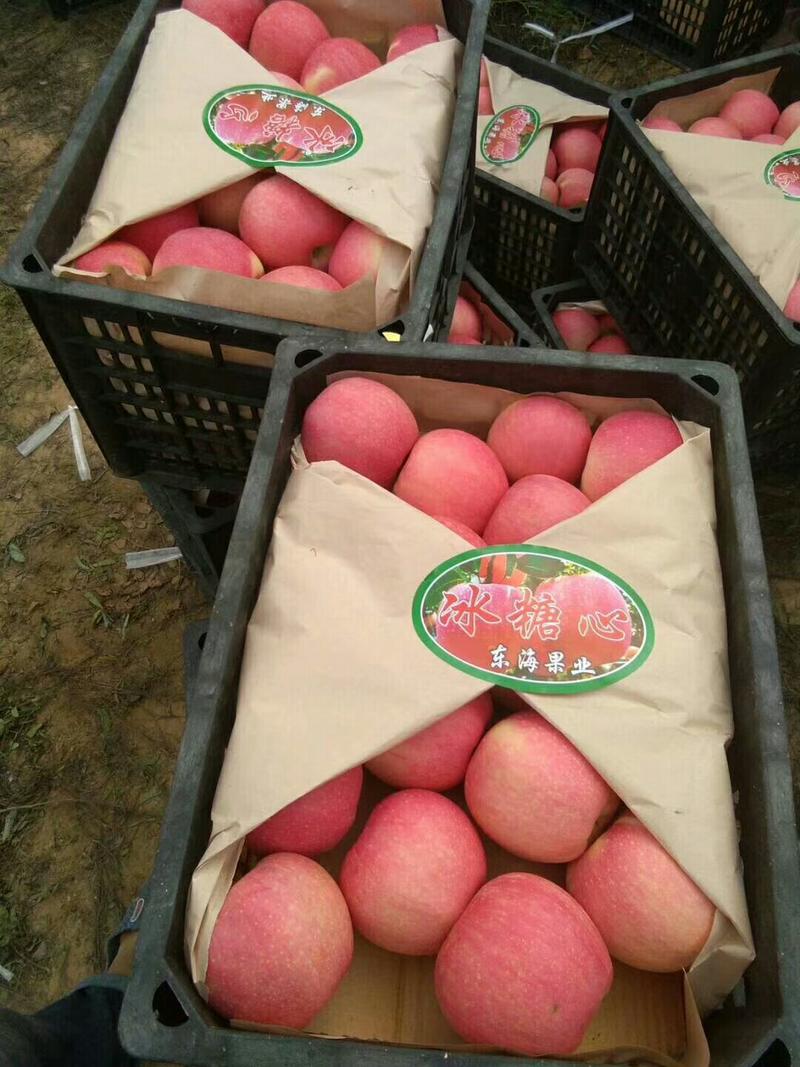 红星苹果产地直销保质保量个大皮薄肉厚价格便宜
