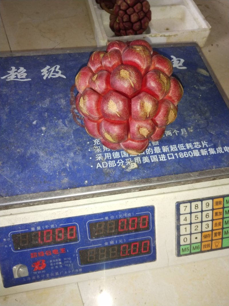 布福娜黑老虎果2023年10月新果包邮一件代发货架
