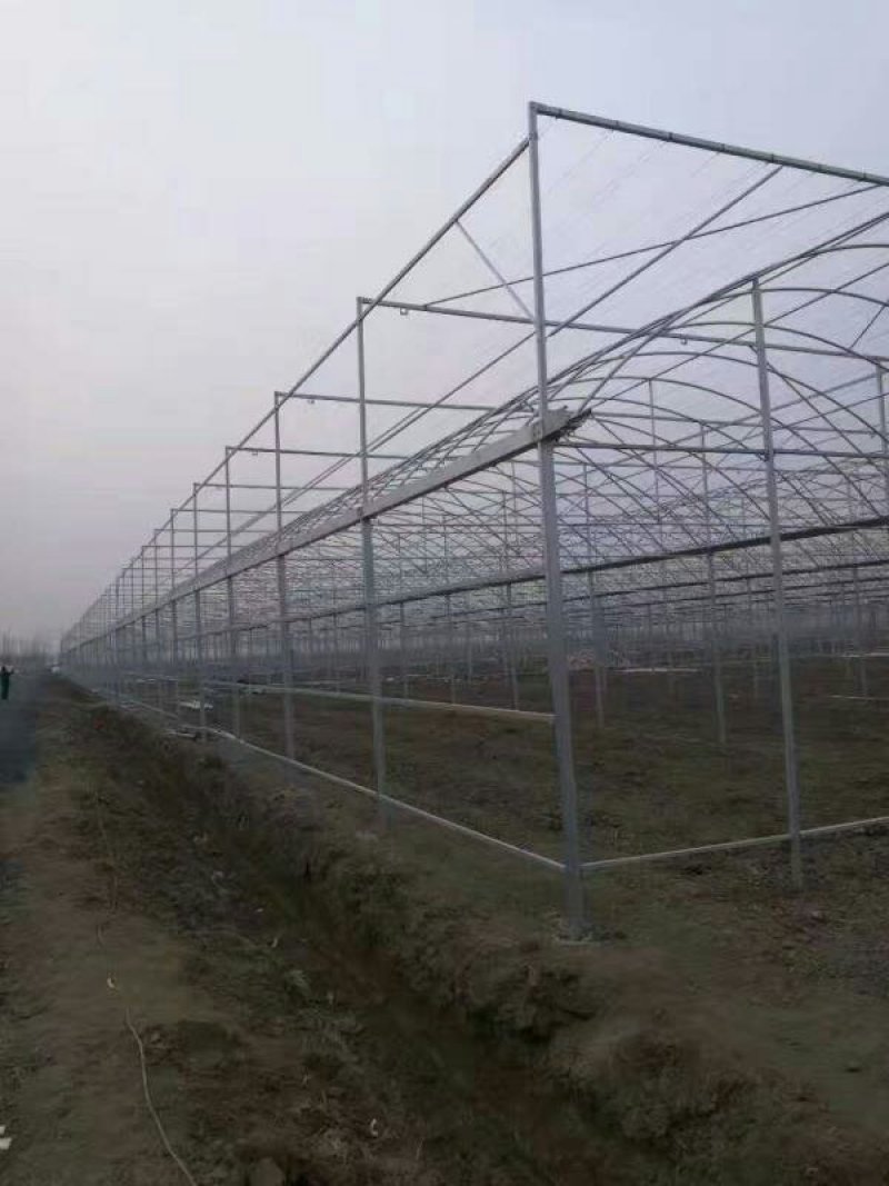 蔬菜连栋大棚