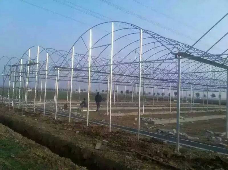 蔬菜连栋大棚