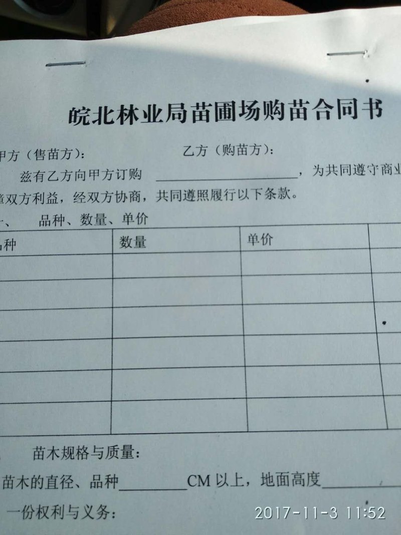 黄金密1-5号，黄桃苗本人承诺:包品种，包结果，技术服务，