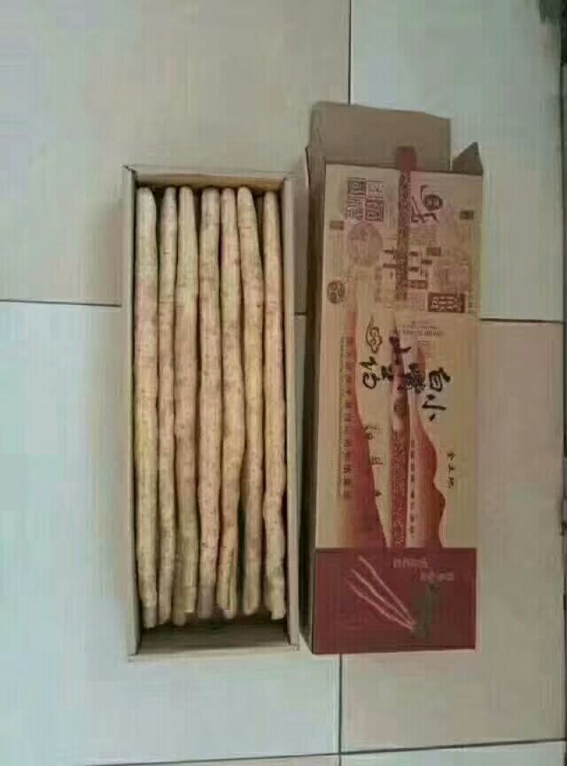 麻山药，白嘴，紫药