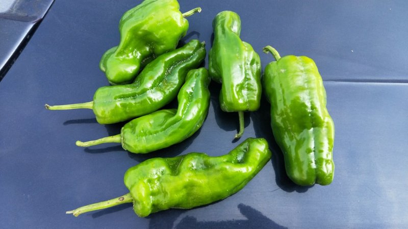 麻辣椒