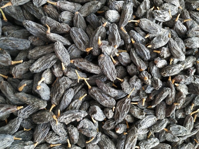 黑加仑葡萄干土库曼斯坦一级货，大颗粒，甜度高