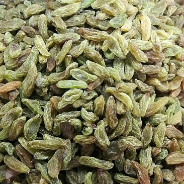 葡萄干新疆吐鲁番无核白绿葡萄干