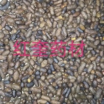 炒五灵脂药本寒号虫粪寒雀粪不满意可以退换货