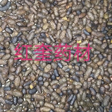 炒五灵脂药本寒号虫粪寒雀粪不满意可以退换货