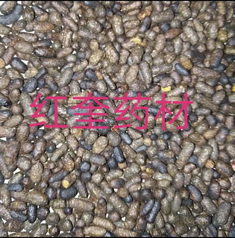 炒五灵脂药本寒号虫粪寒雀粪不满意可以退换货