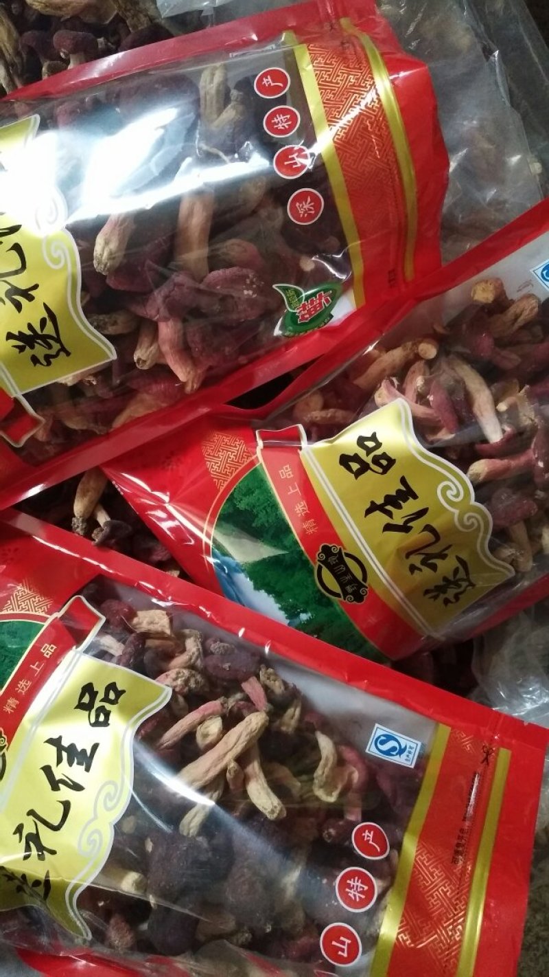 红菇