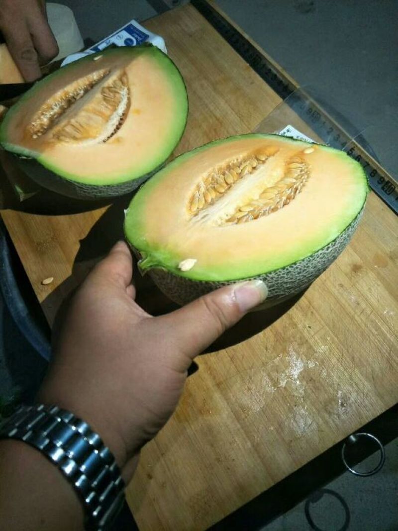 高端网纹瓜