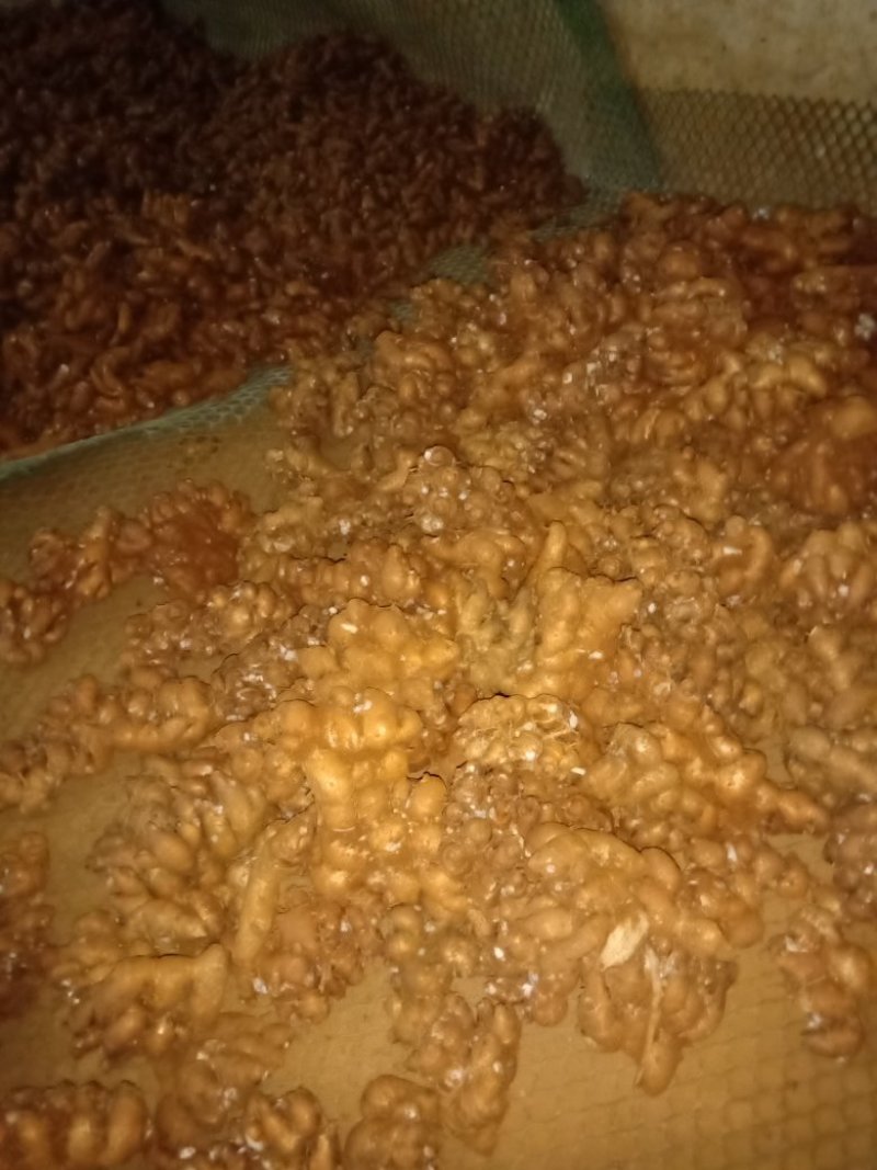 广西本地新鲜生沙姜，海南生沙姜隆重上市，一手货源