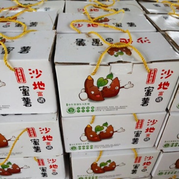 烟薯直销